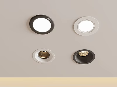 Modern Home Ceiling Lighting with Black and White Downlights and Spotlights 3d model