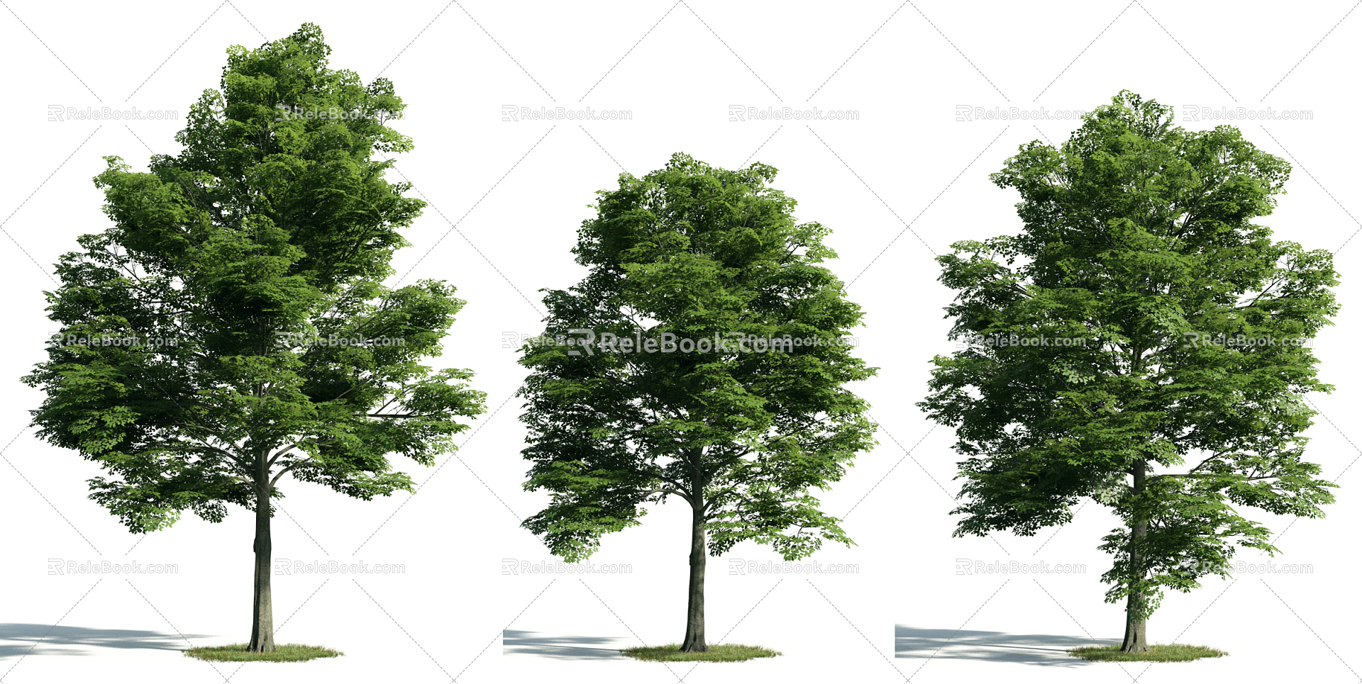 The Modern Tree 3d model