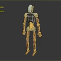 Metallic Robot Character With Silver Copper Body Blue Head And Yellow Abdomen