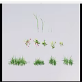 Vibrant Green Grass and Herbaceous Plants with Red Berries in Natural