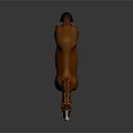 Realistic Brown Horse With White Face And White Hooves Standing On Dark Background