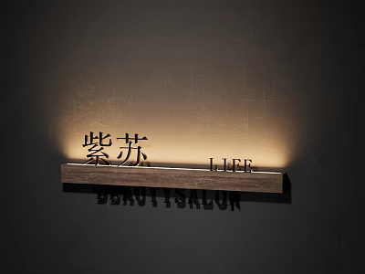 Illuminated Wall Mounted Beauty Salon Sign Component Featuring Chinese And LLEE Characters 3d model