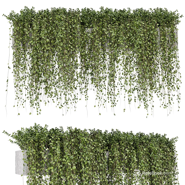 Lush Green Hanging Vines With Cascading Foliage For Natural Decorative Wall 3d model 