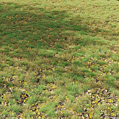 Lush Green Grass Field Scattered With Yellow Fallen Leaves In Natural Setting 3d model
