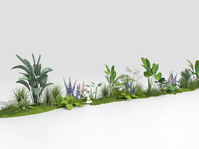 Natural Floral Arrangement Featuring Various Green Plants Large Leaves And Purple Blooms 3d model