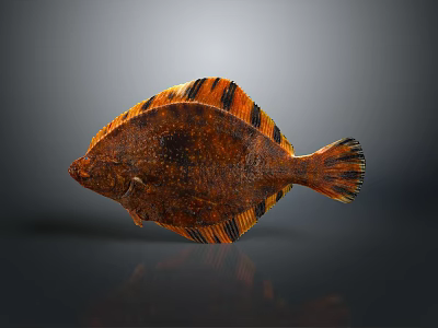 Realistic Decorative Fish Model With Brown Orange Black Stripes For Home Decor 3d model