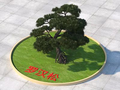 Chinese Podocarpus Tree In Circular Grassy Landscape Design With Red Inscription 3d model