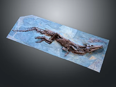 Ancient Reptile Fossil Preserving Organs And Hair Structures In Blue Stone Slab 3d model
