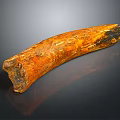 Curved Orange Yellow Bone Like Textured Household Decor Item with Shiny Reflection on Dark Background