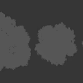 Lush Green Arbor Trees With Dense Foliage And Healthy Growth In Black Background