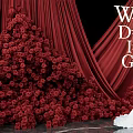 Romantic Wedding Photo Check in Spot With Red Curtains Flower Walls And Bride