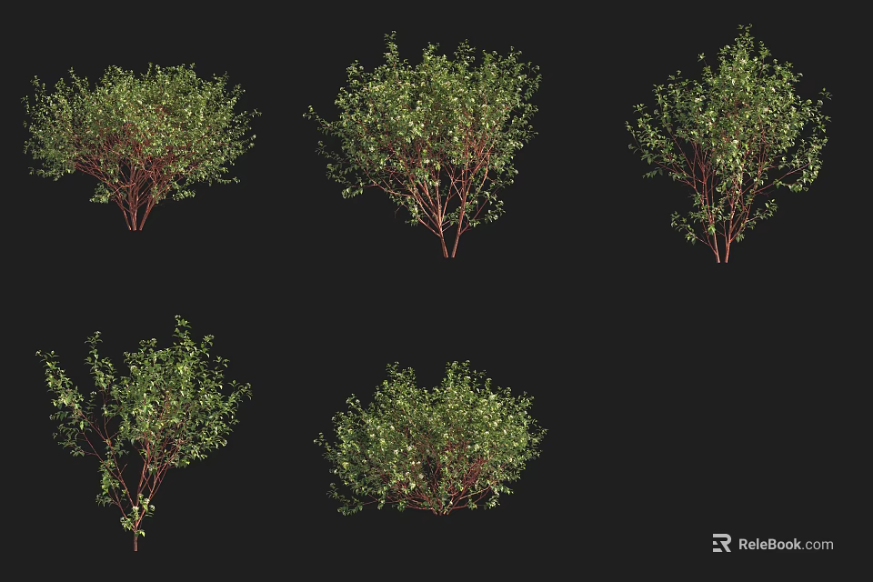 Various Garden Shrubs With Lush Green Foliage And Natural Growth Forms 3d model 