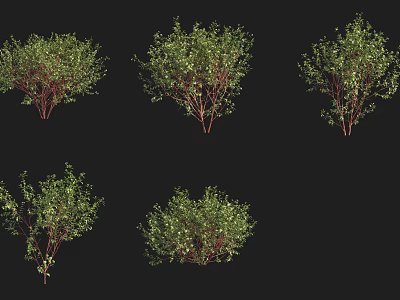 Various Garden Shrubs With Lush Green Foliage And Natural Growth Forms 3d model