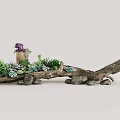 Creative Succulent Plant Arrangement with Wooden Branch Base and Decorative Stones