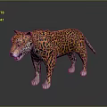 Realistic 3D Leopard Model With Detailed Fur Pattern Standing On Black Background With Reflection