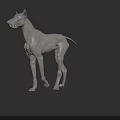 3D Dog Model In Standing Pose With Detailed Muscular Structure 3d model