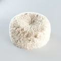 Fluffy Beige Bean Bag Chair With Soft Furry Texture For Cozy Living Room