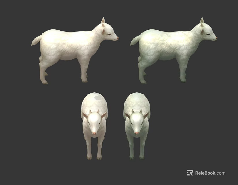 White Sheep Displayed In Four Different Angles Front And Side Views 3d model 
