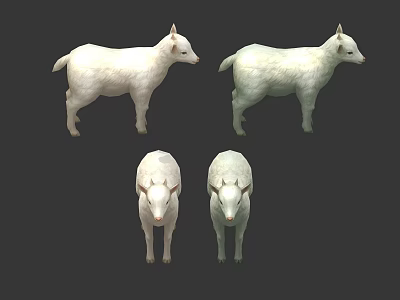 White Sheep Displayed In Four Different Angles Front And Side Views 3d model