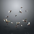 Group of Flies Flying Against Gray Background in Mid Air