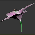 Beautiful Pink Lily Plant With Fresh Pink Petals And Red Stamens