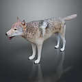 Realistic Wolf 3D Model Game Movie Character with Standing Pose Brown Gray Fur