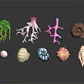 Colorful Seashells Coral Pieces And Green Seaweed On Black Background
