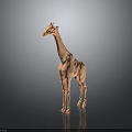 Orange 3D Giraffe Model Standing Tall On Black Background With Reflection 3d model