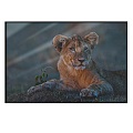 Animal Wall Hanging Paintings 18 3d model