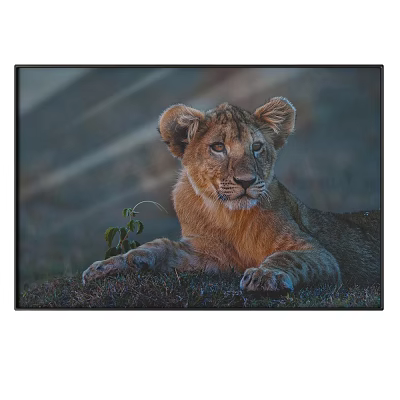 Lion Cub Animal Painting With Orange Fur Resting And Green Plant In Grass 3d model Lion Cub Animal Painting With Orange Fur Resting And Green Plant In Grass 3d model