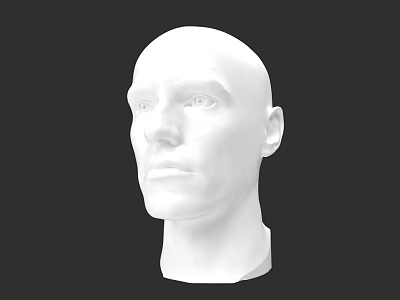 White Male Head Sculpture With Smooth Surface Detailed Facial Features And Black Background 3d model