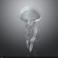 Transparent Jellyfish With Elegant Glowing Tentacles And Graceful Form On Dark Background