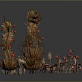 Unique Decorative Plants With Brown Stems And Red Fruits For Artistic