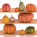 Pumpkin Vegetable Fruit 3d model