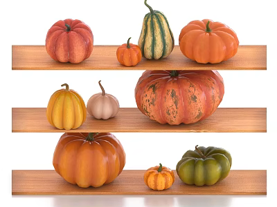 Fresh Assorted Colored Pumpkins Arranged on Wooden Shelves with Different Sizes 3d model Fresh Assorted Colored Pumpkins Arranged on Wooden Shelves with Different Sizes 3d model
