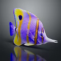 Vibrant Purple and Yellow Striped Fish with Long Snout and Distinctive Markings