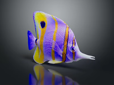 Vibrant Purple and Yellow Striped Fish with Long Snout and Distinctive Markings 3d model Vibrant Purple and Yellow Striped Fish with Long Snout and Distinctive Markings 3d model
