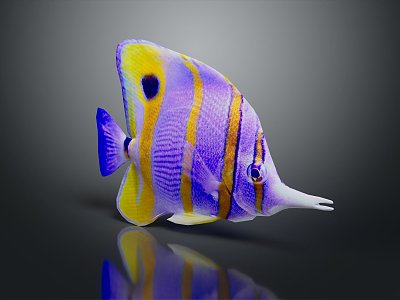 Modern Fish Tropical Fish Ornamental Fish Aquarium Coral Fish 3d model