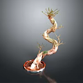 Bonsai Plant With Twisted Trunk And Small Green Branches In Red Pot