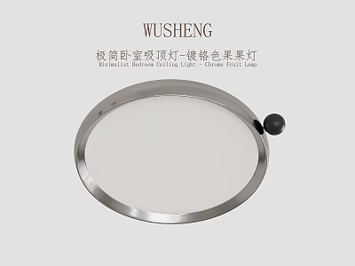Minimalist Bedroom Ceiling Light With Iron Silver Finish And Guoguo Design 3d model