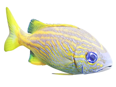 Vibrant Tropical Fish With Yellow And Blue Stripes And Bright Blue Eyes 3d model