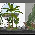 Modern Indoor Plant Combination With Large Leaf Plants Small Greenery Round Lights And Stone Decor