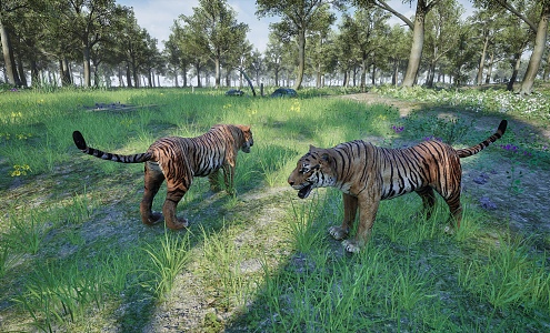 The Modern Tiger 3d model