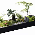 Black Rectangular Bonsai Pot With Various Ferns Palm Like Plants Moss Stones And Pebbles