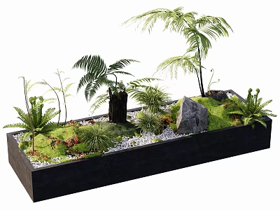 Black Rectangular Bonsai Pot With Various Ferns Palm Like Plants Moss Stones And Pebbles 3d model