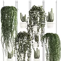 Indoor Hanging Basket Plants Decor With Variety Of Trailing Greenery And White Wall Planters