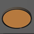 Modern Round Ceiling Light With White Shade And Dark Frame For Home Illumination
