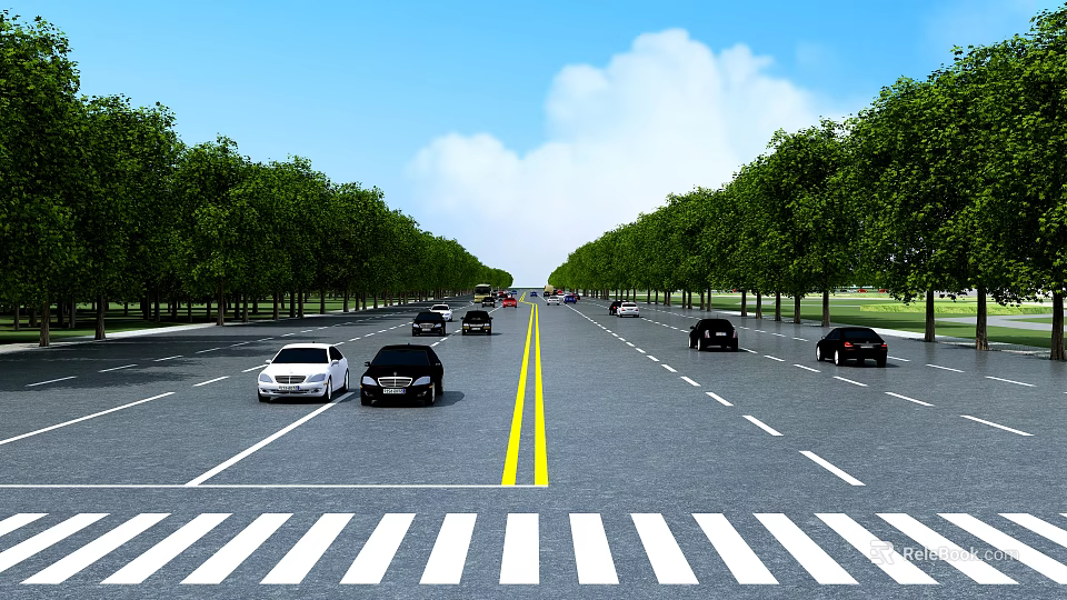 Road Infrastructure with Double Yellow Lines Zebra Crossing Trees on Both Sides and Vehicles 3d model 
