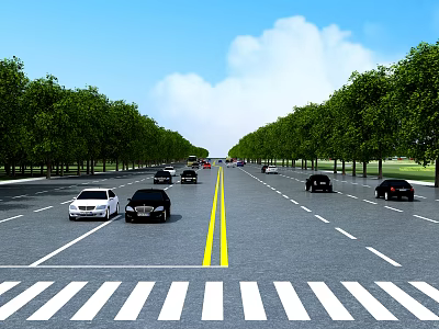 Road Infrastructure with Double Yellow Lines Zebra Crossing Trees on Both Sides and Vehicles 3d model