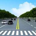 Road Infrastructure with Double Yellow Lines Zebra Crossing Trees on Both Sides and Vehicles